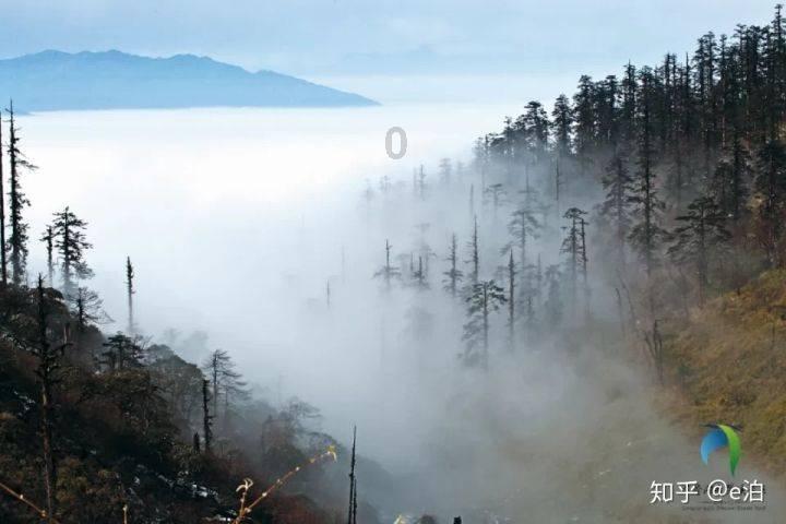 逃离沙丘